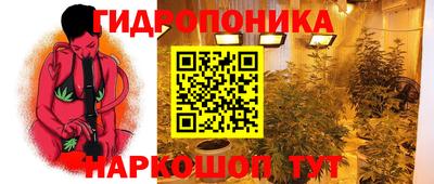СК Комсомольск-на-Амуре