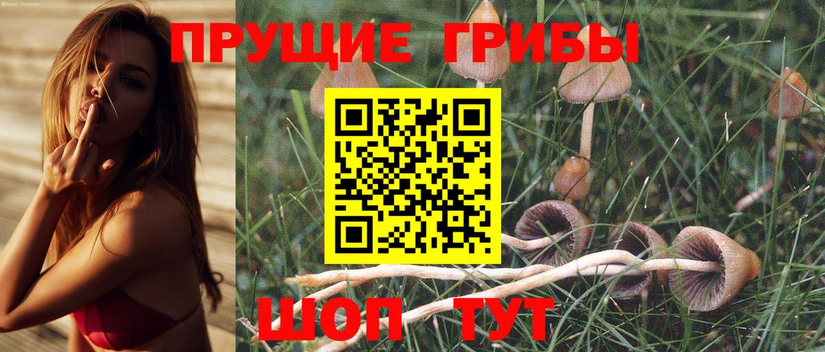 Псилоцибиновые грибы ЛСД  Галлюциногенные грибы Magic Shrooms  что такое   Вход с VPN  Кимовск 